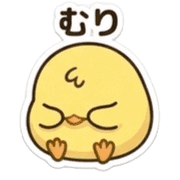 031