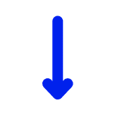 261