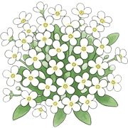009