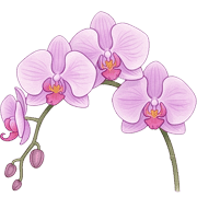 018