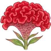 026