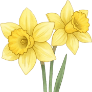 035