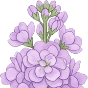037
