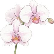 039