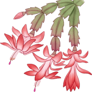 040