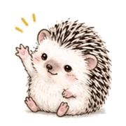 005