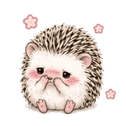 006