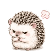 008