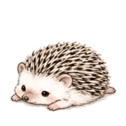 029