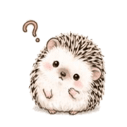 031