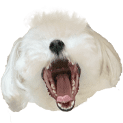 002