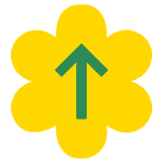 260