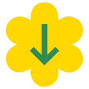 261