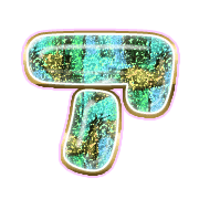 081
