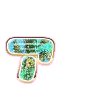 127