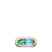 250
