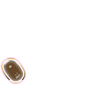 256