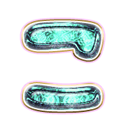 010