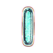 242