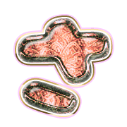 011