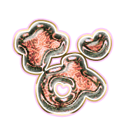 021