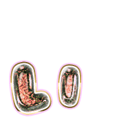 048