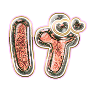 059
