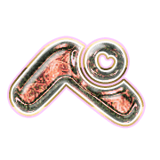 079