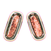 106