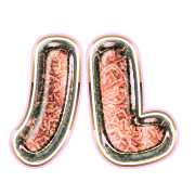 121