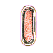 199