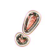 225