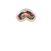 231