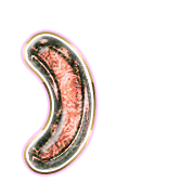 235