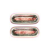 239