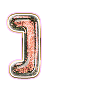 241