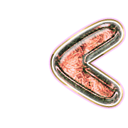 248