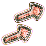 271