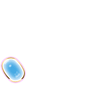 256