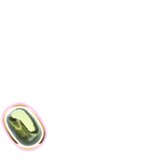256