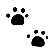 026