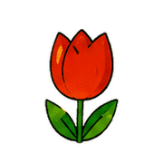 004