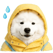 031