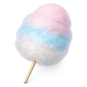 019