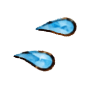 008