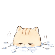 017