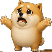 005