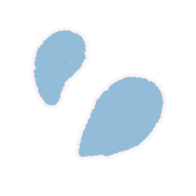 036