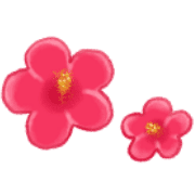 004