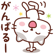005